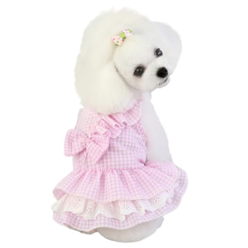 Partykostüm, Schleifenkleid für Hunde, Sommermode, weich, atmungsaktiv, rosa Haustier-Prinzessinnenkleid mit Spitzenverzierung – Größe 80 Partykostüm, Schleifenkleid für Hunde, Sommermode, weich, atmungsaktiv, rosa Haustier-Prinzessinnenkleid mit Spitzenverzierung – Größe 80 von Generisch