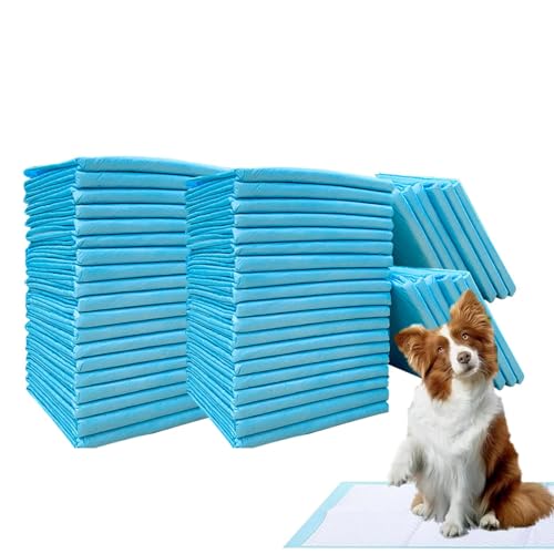 Pinkelpads für Welpen, Pinkelpads für Hunde, Super saugfähige Welpenunterlagen, Super saugfähige Haustierwindel, Hundetrainings-Pipi-Pads, verdickte Windelpads für Katzen, Hundewindeln, Käfigmatte, He von Generisch