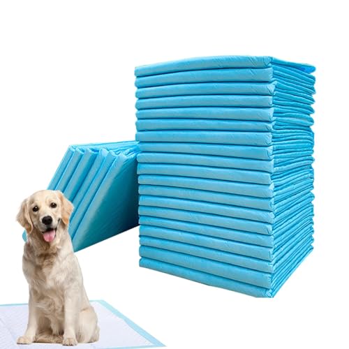 Pinkelpads für Welpen, Pinkelpads für Hunde, Töpfchentrainingsmatte für Hunde, Ultra saugfähige Hunde-Pipi-Pads, auslaufsichere, geruchshemmende Welpen-Trainingspads, schnell trocknende Pee-Pads für H von Generisch