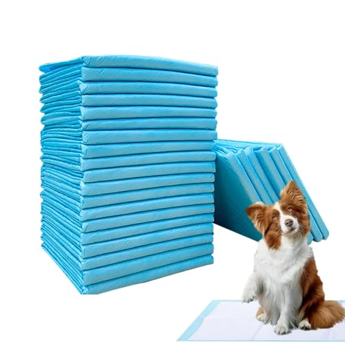 Pipi-Pads für Hunde,Hunde-Pipi-Pads - Töpfchen-Trainingsunterlagen für kleine Hunde,Super saugfähige Haustierwindel, verdickte Windeleinlagen für Katzen und Hunde, schnell trocknende Oberflächenmatte, von Generisch