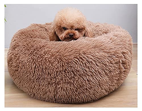 Plüsch-Katzenbett, Donut-Design, Größe M/L/XL, 70 cm, rund, weiches Welpen-Sofa, maschinenwaschbar, rutschfeste Unterseite, hält Ihr Haustier warm und gemütlich (E 70 cm) von Generisch