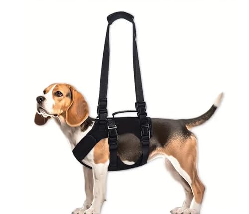 Rehabilitationsgeschirr mit Griff u, Hebebänder Für Alte u Gelenkkranke Hunde (2XL) von Generisch