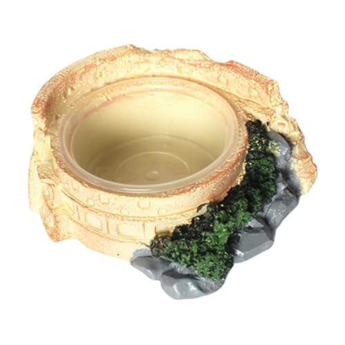 Reptile Dish- Convenient Terrarium Bowls | Effortless Small Turtle Habitat Feeder, Unique Resin Bearded Dragon Bowl, Drinking Basin with Transparent Bowl, Feeding Accessories, Aquarium Decoration von Generisch