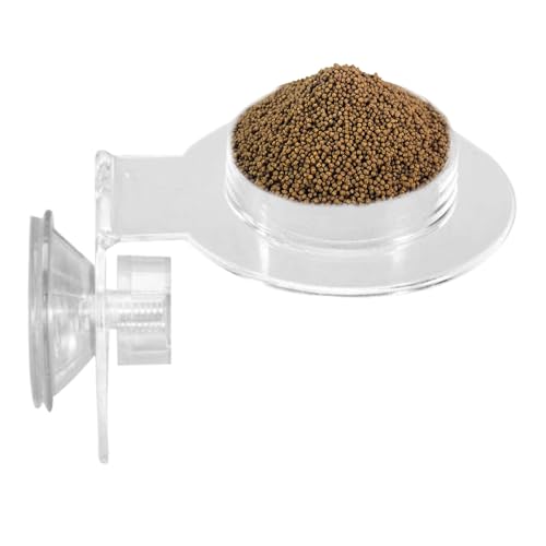 Reptile Feeding Bowl | Reptilien Acryl Wasserbecken Futter Napf - Glatter Futterspender Für Kleine Tiere Echse Spinne Reptile Feeding Bowl | Reptilien Acryl Wasserbecken Futter Napf - Glatter Futterspender Für Kleine Tiere Echse Spinne von Generisch