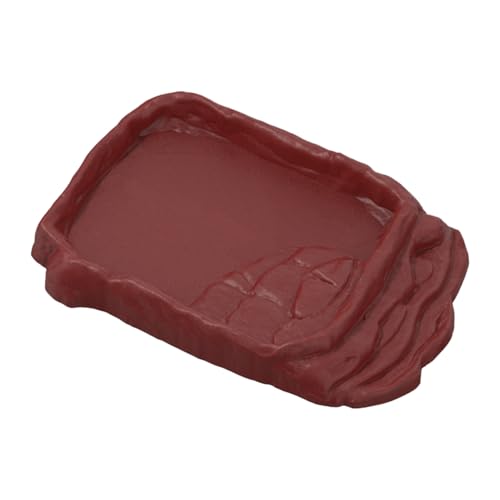 Reptilien Cotow - Bart Drachenwasser Mit Rutschfester Imitation Steintreppe | Reptilienbad, Aquarium-Ornamente, Outdoor-Lebensraum-Zubehör Reptilien Cotow - Bart Drachenwasser Mit Rutschfester Imitation Steintreppe | Reptilienbad, Aquarium-Ornamente, Outdoor-Lebensraum-Zubehör von Generisch