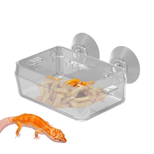 Reptilien-Futternapf | Anti-Flucht-Futterbecken, Gecko-Ledge Feeder, Anti-Flucht-Mehlwurm-Schüssel, Futterschale für Schlangen, Gecko, , Leguan von Generisch