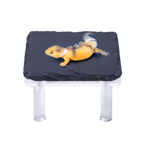 Reptilien-Selenfelsen | Bartdrachen-Unterschlupf mit Acrylständer, Terrarium-Lebensraum-Dekoration für Gecko, Schildkröte, , Schlange und Reptilien-Selenfelsen | Bartdrachen-Unterschlupf mit Acrylständer, Terrarium-Lebensraum-Dekoration für Gecko, Schildkröte, , Schlange und von Generisch