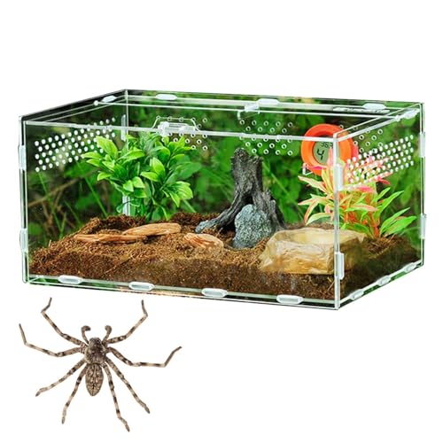 Reptilientank, Reptilien-Terrarien, Futterbox, Reptilien-Futterbehälter, Zuchtbehälter, transparente Reptilien-Futterbox für Schlangenschildkröte Eidechsen von Generisch