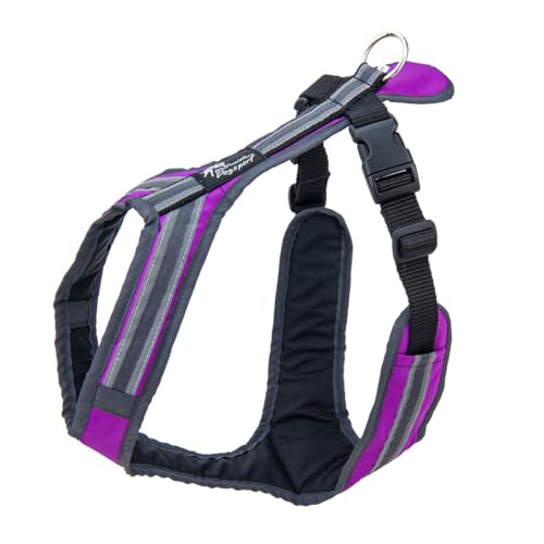 Safety Führ- und Zuggeschirr | Mantrailing | Canicross | Zughundesport | Alltagsgeschirr | Führgeschirr (Fuchsia-Anthrazit, L - 33-40 Kg) von Generisch