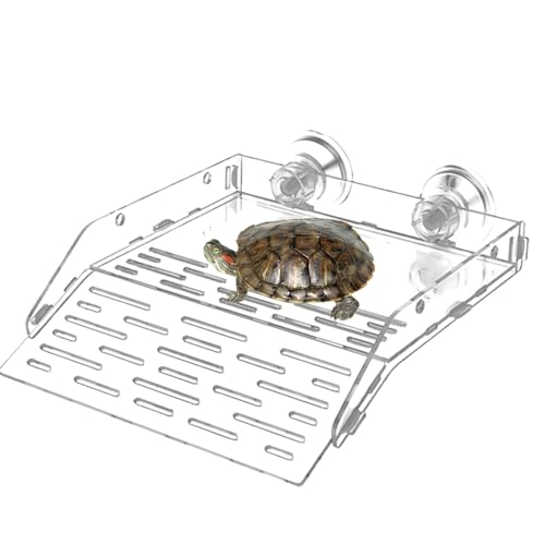 Schildkröte Ruheterrasse Acryl Transparent Basking Dock Saugnapf Basking Rampe Reptilien Ruhedock mit Haken für Eidechsen Einsiedlerkrebse von Generisch