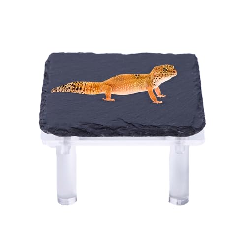 Schildkröten Sonnenfelsen | Bartagamen Höhle Mit Acrylständer,Terrarium Deko Für Gecko Schildkröte Echse Schlange Schildkröten Sonnenfelsen | Bartagamen Höhle Mit Acrylständer,Terrarium Deko Für Gecko Schildkröte Echse Schlange von Generisch