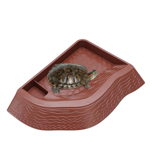 Schildkröten Wasserschüssel,Kleine Badeschale Für Reptilien | Doppelschichtige Anti-Kipp Schildkröten Trinknapf Für Terrarium Fütterung Baden Sonnen Schildkröten Wasserschüssel,Kleine Badeschale Für Reptilien | Doppelschichtige Anti-Kipp Schildkröten Trinknapf Für Terrarium Fütterung Baden Sonnen von Generisch