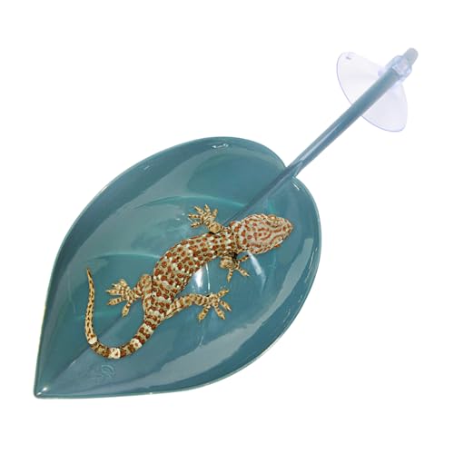 Schildkrötenblattkorb, Kletterstütze, Blattform, Saugnäpfe, Dekoration für Tank, Terrarium-Zubehör für Zwergfrösche, Schildkröten, Leopardenkröten Schildkrötenblattkorb, Kletterstütze, Blattform, Saugnäpfe, Dekoration für Tank, Terrarium-Zubehör für Zwergfrösche, Schildkröten, Leopardenkröten von Generisch