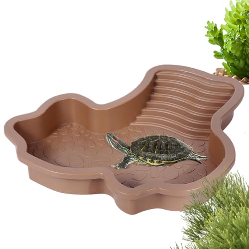 Schildkrötenpool - Reptilienpool - Futter- und Wasserschalen Futterschale mit Sonnenterrassenrampe, Aquarium und Futterbedarf für Frösche, Eidechsen, Bartagamen, Schlangen und Terrarien Schildkrötenpool - Reptilienpool - Futter- und Wasserschalen Futterschale mit Sonnenterrassenrampe, Aquarium und Futterbedarf für Frösche, Eidechsen, Bartagamen, Schlangen und Terrarien von Generisch