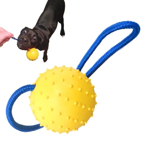 Seilball Hundespielzeug, beißfester Haustierball, interaktiver Hundeball mit Seil, Trainingsballwerfer, Quietschspielzeug für Rassen & kleine Hunde, langlebiges und ansprechendes Spielen für aktive Seilball Hundespielzeug, beißfester Haustierball, interaktiver Hundeball mit Seil, Trainingsballwerfer, Quietschspielzeug für Rassen & kleine Hunde, langlebiges und ansprechendes Spielen für aktive von Generisch