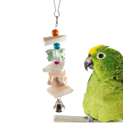Sepiaschale Für Vögel | Natürlicher Schnabelpflegestein für Vögel | Tiergesundheit Für Drinnen Draussen Balkon Garten Freigehege Hof Sepiaschale Für Vögel | Natürlicher Schnabelpflegestein für Vögel | Tiergesundheit Für Drinnen Draussen Balkon Garten Freigehege Hof von Generisch