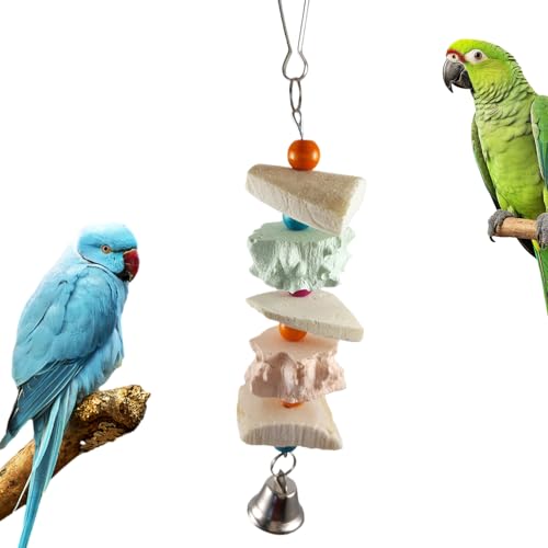 Sepiaschale - Natürliches Vogelschleifspielzeug | Tiergesundheit Für Drinnen Draussen Balkon Garten Freigehege Hof Sepiaschale - Natürliches Vogelschleifspielzeug | Tiergesundheit Für Drinnen Draussen Balkon Garten Freigehege Hof von Generisch