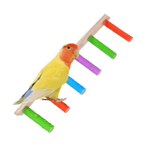 Sittich Leiter,Kletterleiter Aus Holz Für Vögel - Multifunktionale Krallenpflege, Spielzeug Zur Unterhaltung Gegen Federpicken & Tägliche Bewegung Sittich Leiter,Kletterleiter Aus Holz Für Vögel - Multifunktionale Krallenpflege, Spielzeug Zur Unterhaltung Gegen Federpicken & Tägliche Bewegung von Generisch