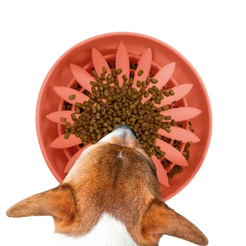 Slow Feeder Hundenapf - Hund Futternapf | Hund Futternapf, Slow Eating Hundenapf, Rutschfester Hund Slow Feeder Schüssel für Gesunde Ernährung, Hunde Katzen von Generisch