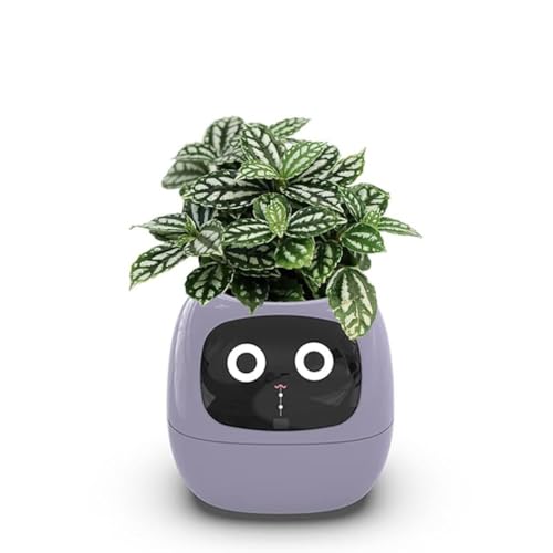 Smart Plant Pot Intelligenter Pflanzkübel mit 49 Ausdrücken, 7 Smart Sensoren, AI-Chips, LCD-Display, APP-Steuerung, Uhrzeit, Datum, Wetterinformationen von Generisch