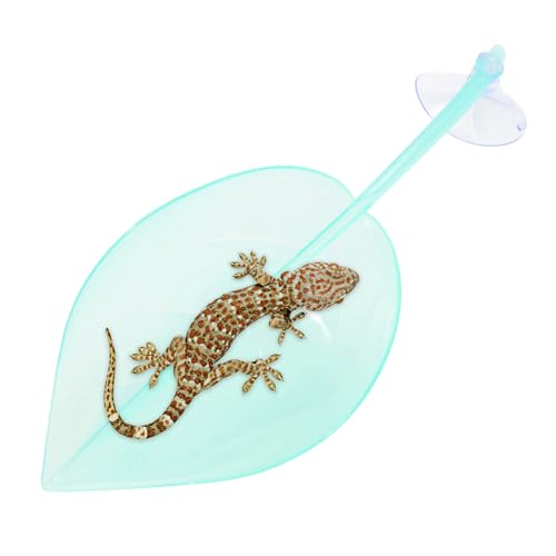 Sonnenbereich für Schildkrötenbecken – Ruheterrasse, Blattform, Tankzubehör für Schildkröten, Leopard, Gecko, Kröten, Saugnäpfe, Terrarium-Dekoration Sonnenbereich für Schildkrötenbecken – Ruheterrasse, Blattform, Tankzubehör für Schildkröten, Leopard, Gecko, Kröten, Saugnäpfe, Terrarium-Dekoration von Generisch