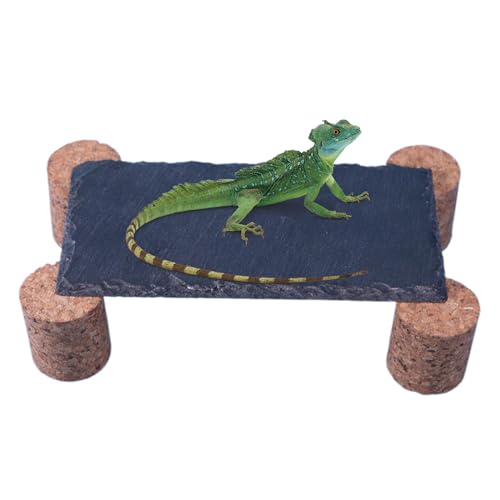 Sonnensteine Für Bartagamen | Mit Kork-Pflock Reptilien Sonnenstein | Natürliche Feuchtigkeitsbeständige Kletterlandschaft Aquarium Terrarium Gecko Schlange Schildkröte Sonnensteine Für Bartagamen | Mit Kork-Pflock Reptilien Sonnenstein | Natürliche Feuchtigkeitsbeständige Kletterlandschaft Aquarium Terrarium Gecko Schlange Schildkröte von Generisch