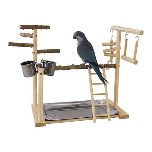 Spielplatz für Vögel, schwingende Kletterleiter mit Tablett und Tassen - Spielzeug für Vögel, Achimeter für Vögel, Turnhallenspiel für Vögel, Sittich Cockatiel Spielplatz für Vögel, schwingende Kletterleiter mit Tablett und Tassen - Spielzeug für Vögel, Achimeter für Vögel, Turnhallenspiel für Vögel, Sittich Cockatiel von Generisch