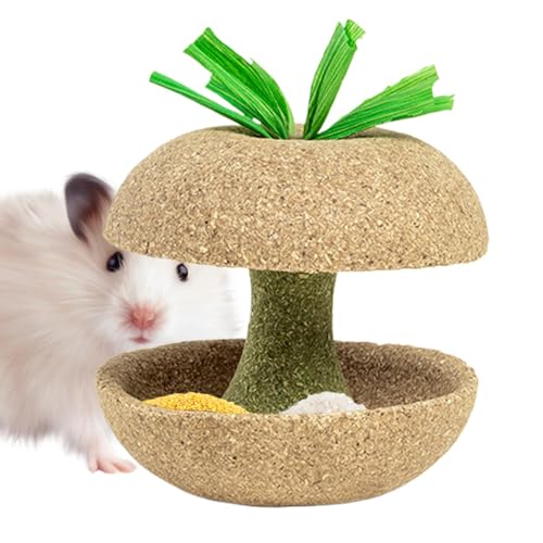 Spielzeug zum Zahnen des Hamsters, Kauspielzeug in Fruchtform für Hamster, Leckerlies für Kleintiere, natürliches Spielzeug für Kaninchen, Chinchillas, c von Generisch