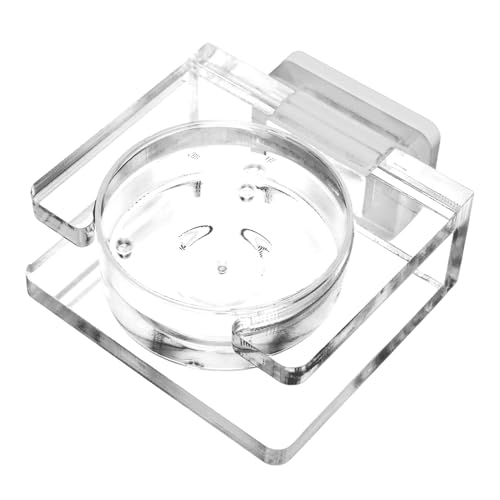 Springende Spinne Futternapf - Magnetischer Futternapf, Transparente Acrylschale für Springspinne Tarantel Kleine Spinne | Acryl Magnetische Reptilien Wassernapf Kleine Haustier Wasser Feeder Schalen Springende Spinne Futternapf - Magnetischer Futternapf, Transparente Acrylschale für Springspinne Tarantel Kleine Spinne | Acryl Magnetische Reptilien Wassernapf Kleine Haustier Wasser Feeder Schalen von Generisch