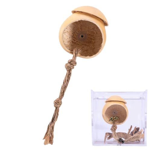 Springender Spinnenkäfig, natürlich, handgefertigt, Spinnengehege, Holz-Reptilien-Zubehör mit Saugnapf, Kürbisform, Terrarium-Dekoration für Grillen, Geckos, Eidechsen Springender Spinnenkäfig, natürlich, handgefertigt, Spinnengehege, Holz-Reptilien-Zubehör mit Saugnapf, Kürbisform, Terrarium-Dekoration für Grillen, Geckos, Eidechsen von Generisch