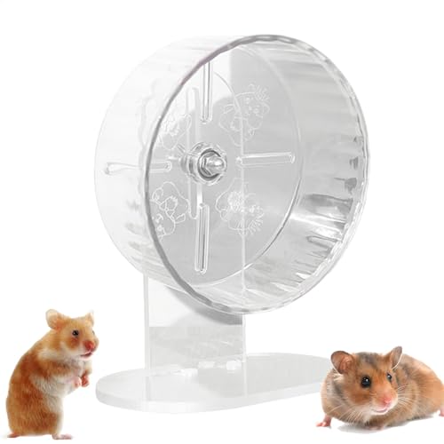 Stummes Hamsterrad, Rad für Hamster, Transparentes laufendes Trainingsrad, Höhenverstellbare Glatte Lager, Acryl -Gerbbil -Spielzeug, Hamsterzubehör Haustierversorgungen von Generisch