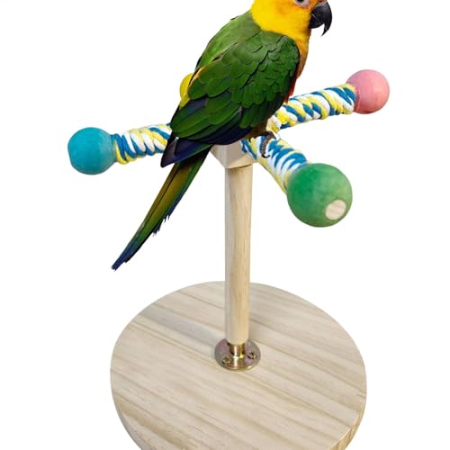 Tabletop Bird Barch - Tischperch | Pfotenschleifpol Für Vögel, Übungsfüße Klauenschleife, Hölzerne Stehende Gabel, Sittichanreicherungszweig Für Macaw Lovebirds von Generisch