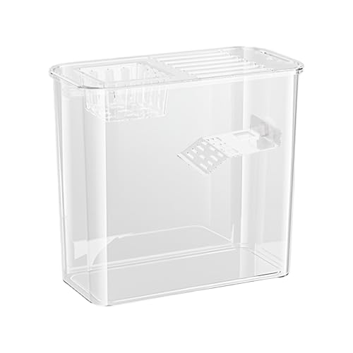 Tank für Schildkröten, Schildkrötenaquarium - Multifunktionales Aquarium für Schildkröten,Kreatives Schildkröten- und Aquarium mit Kletterbrett, kleines transparentes Schildkrötenbecken für den Schrei von Generisch