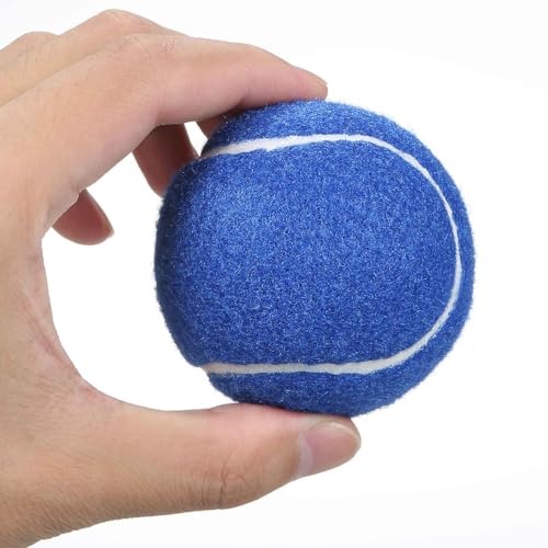 Tennisbälle, Hunde-Tennisbälle, 12 Stück, fortgeschrittenes Training, Tennisbälle, Übungsbälle, Bulk-Training, Tennisbälle für Anfänger-Trainingsball (12 Stück, #BL) von Generisch