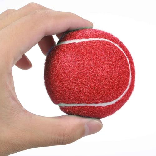 Tennisbälle, Hunde-Tennisbälle, 12 Stück, fortgeschrittenes Training, Tennisbälle, Übungsbälle, Bulk-Training, Tennisbälle für Anfänger-Trainingsball (12er-Pack #-R) von Generisch