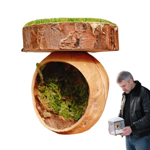 Terrarium Für Springspinnen - Zubehör Für Spinnenterrarium Handgefertigt | Handgefertigte Terrarien Accessoires Mit Magnetfunktion Für Vogelspinnen Kleintiere Terrarium Für Springspinnen - Zubehör Für Spinnenterrarium Handgefertigt | Handgefertigte Terrarien Accessoires Mit Magnetfunktion Für Vogelspinnen Kleintiere von Generisch