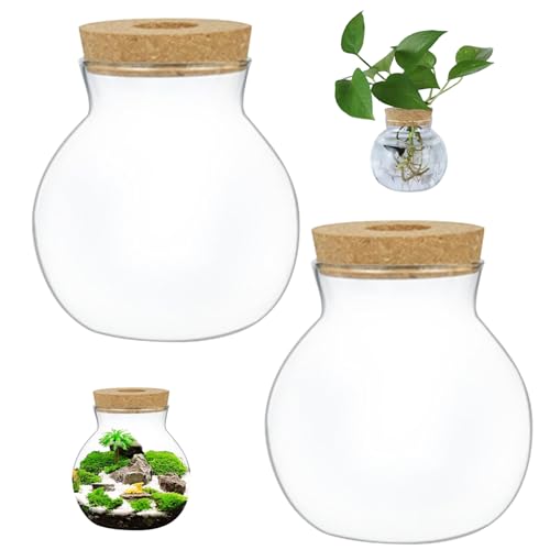 Terrarium Glass - 2 Transparent Round Glass Containers with Cork Lid for DIY Plants, Ferns, Moss, Succulents & Air Plants – Perfect Home Supply for Greenery Enthusiasts von Generisch