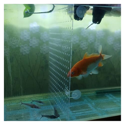 Transparentes Acryl-Fischtank-Trenner-Set mit Saugnäpfen, verstellbarer Aquarium-Trennwand zum Trennen von Babyfischen, unverzichtbares Aquarium-Zubehör Transparentes Acryl-Fischtank-Trenner-Set mit Saugnäpfen, verstellbarer Aquarium-Trennwand zum Trennen von Babyfischen, unverzichtbares Aquarium-Zubehör von Generisch