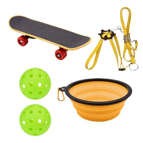 Turtle Feed Toys - Turtle Feeder Ball Training Skateboard Turtle Toys - Turtle Skateboard Enrichment Toys, Training Set Pet Toys Tortoise Toy von Generisch