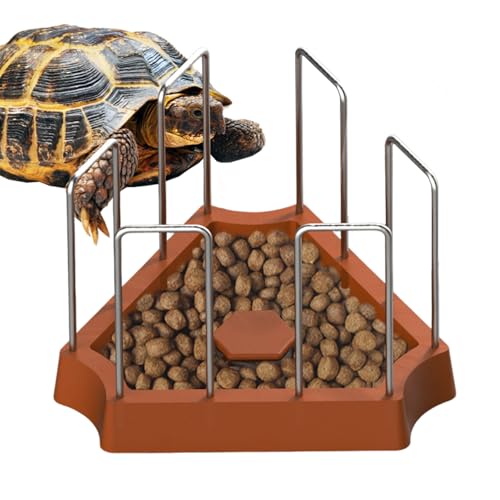 Turtle Feeder, Reptilien-Wassernapf, dreieckiger Futternapf mit 20 x 17 x 15 cm, Gecko-Zubehör, Terrarium-Zubehör für Frösche, Einsiedlerkrebse, Bartagamen, Eidechsen-Habitat- , Turtle Feeder, Reptilien-Wassernapf, dreieckiger Futternapf mit 20 x 17 x 15 cm, Gecko-Zubehör, Terrarium-Zubehör für Frösche, Einsiedlerkrebse, Bartagamen, Eidechsen-Habitat- , von Generisch