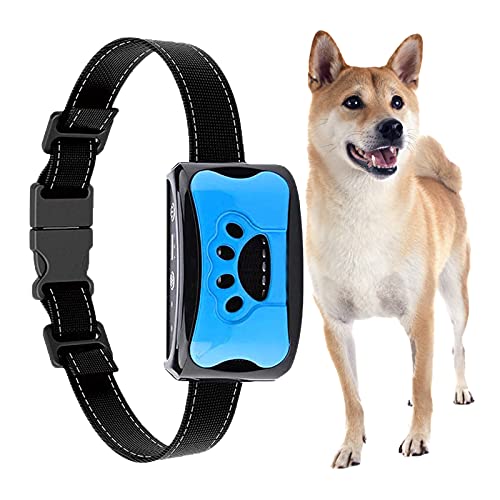 Generisch Upgraded Hundehalsband, Verstellbar für alle Hundegrößen, Langlebiges Nylon, Rutschfest und Verschleißfest, Blau, für große und kleine Hunde von Generisch