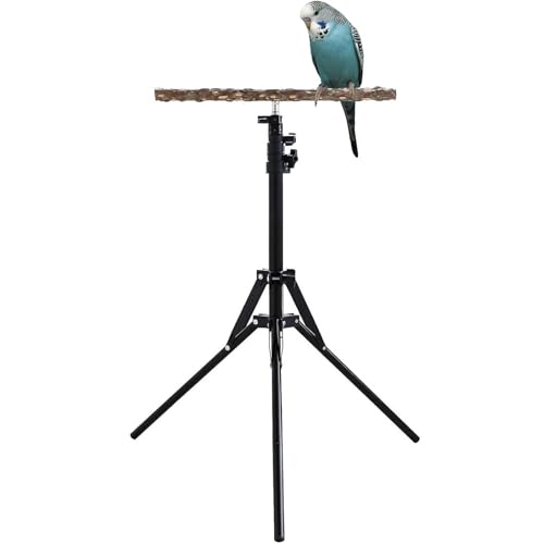 Verstellbarer Vogel-Sitzstange, 40 - 157 cm, Papageien-Trainingsstange, natürliches Holz, Papageien-Sitzstange, Spielzeug, Vogel-Trainings-Sitzstange für drinnen und draußen von Generisch