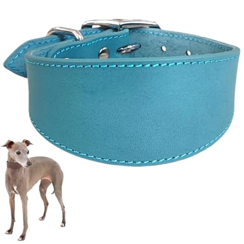 Verstellbares Hundehalsband,Durable Breite Kragen Leder Hals Halsbänder, Lederhalsband für große Hunde,Italienische Windhunde Pet Supplies,Haustierzubehör (Blau, M) von Generisch