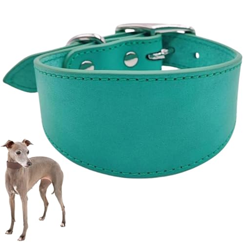 Verstellbares Hundehalsband,Durable Breite Kragen Leder Hals Halsbänder, Lederhalsband für große Hunde,Italienische Windhunde Pet Supplies,Haustierzubehör (Grün, M) von Generisch