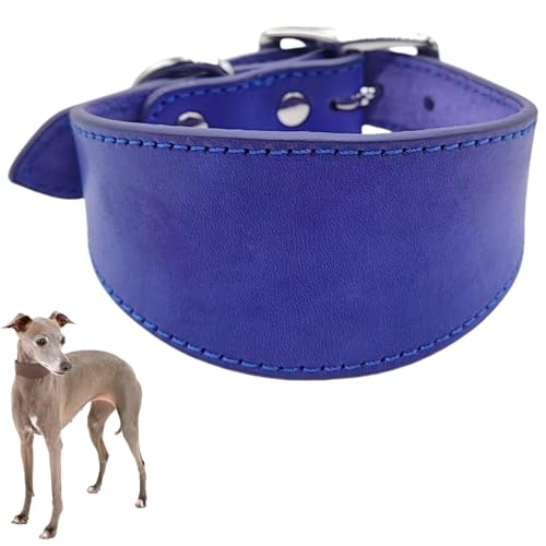 Verstellbares Hundehalsband,Durable Breite Kragen Leder Hals Halsbänder, Lederhalsband für große Hunde,Italienische Windhunde Pet Supplies,Haustierzubehör (Lila, M) von Generisch