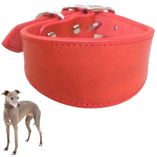 Verstellbares Hundehalsband,Durable Breite Kragen Leder Hals Halsbänder, Lederhalsband für große Hunde,Italienische Windhunde Pet Supplies,Haustierzubehör (Rot, M) von Generisch