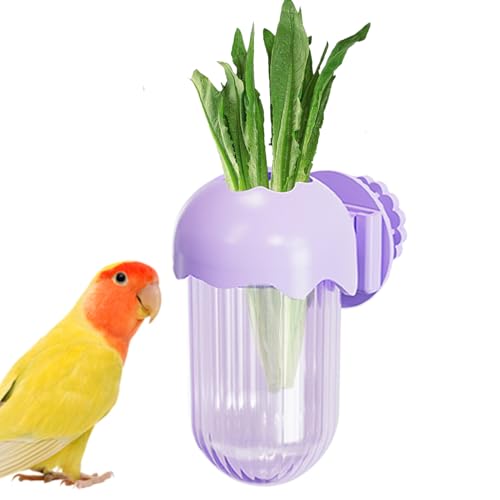 Vogelfutternäpfe Für Käfig, papageiene Futter- Und Wassernapf Mit Klemmvorrichtung, Futterspender Für Wellensittiche, Sittiche, Aras, Nymphensittiche Und Kleinpapageien Vogelfutternäpfe Für Käfig, papageiene Futter- Und Wassernapf Mit Klemmvorrichtung, Futterspender Für Wellensittiche, Sittiche, Aras, Nymphensittiche Und Kleinpapageien von Generisch