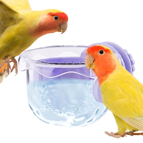 Vogelfutternapf | Futterspender - Tragbar Verschüttsicher Kleine Schüssel Für Innenbereich Garten Reise Transport Zum Füttern Und Trinken Für Ara Nymphensittich Vogelfutternapf | Futterspender - Tragbar Verschüttsicher Kleine Schüssel Für Innenbereich Garten Reise Transport Zum Füttern Und Trinken Für Ara Nymphensittich von Generisch
