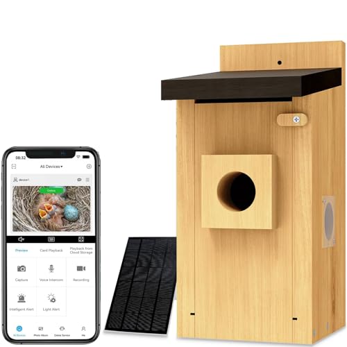 Vogelhauskamera - 4MP Smart Vogelhaus mit Solarenergie & Bewegungserkennung, Echtzeit-Nist- & Schlüpfmonitor für Familien und Freunde von Generisch