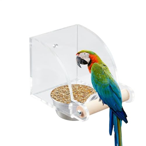 Vogelkäfig -Futterhäuschen, Innenvogelfutterlein - Transparenter Vogelkäfig -Wasserfuttermittel - Parrot Food Bowl -Vorräte, interaktiver Futterspielzeug, Fütterung von Schalen für Cockatiel Eichhörnc Vogelkäfig -Futterhäuschen, Innenvogelfutterlein - Transparenter Vogelkäfig -Wasserfuttermittel - Parrot Food Bowl -Vorräte, interaktiver Futterspielzeug, Fütterung von Schalen für Cockatiel Eichhörnc von Generisch